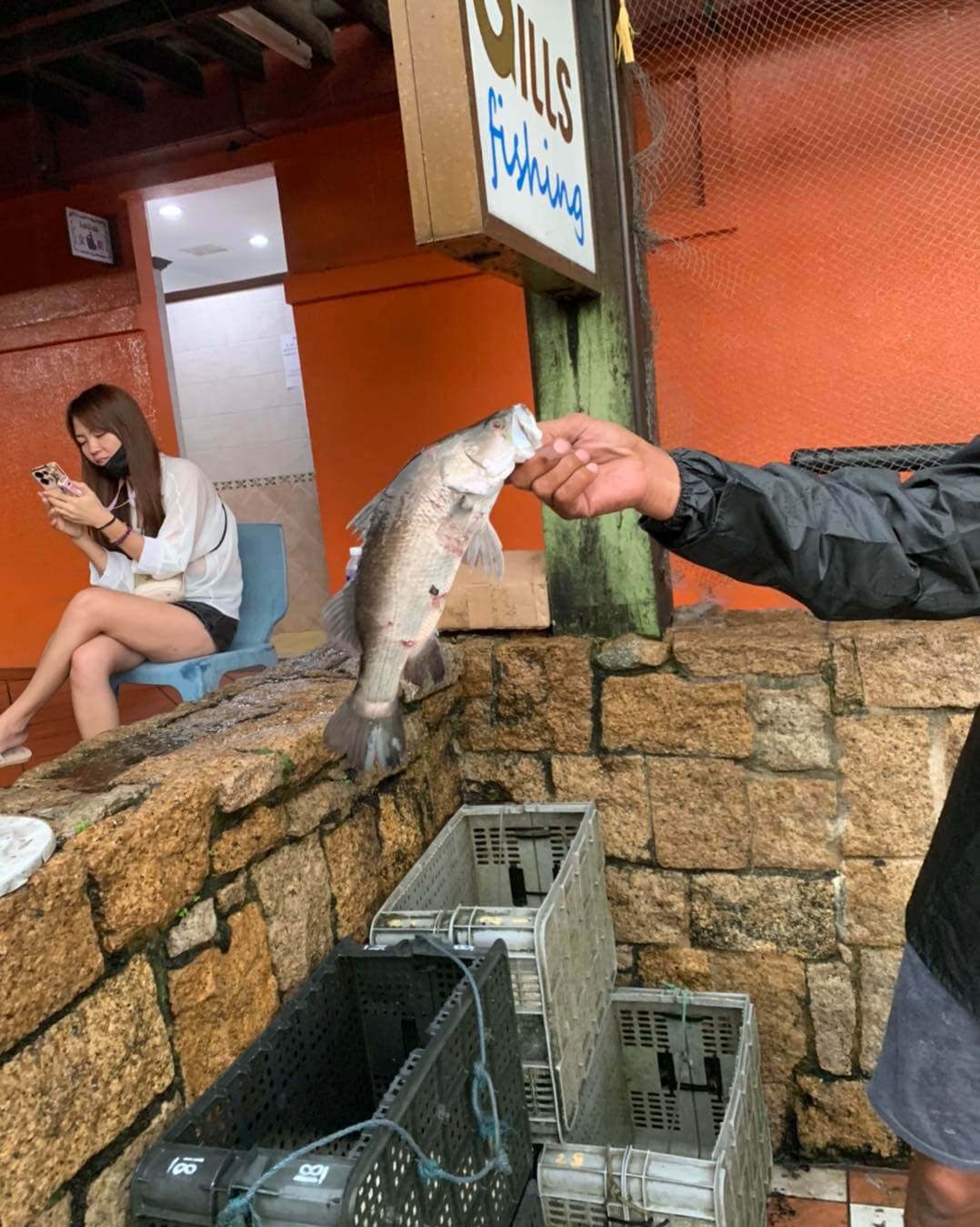 Gills Fishing | With biggies released into the pond!