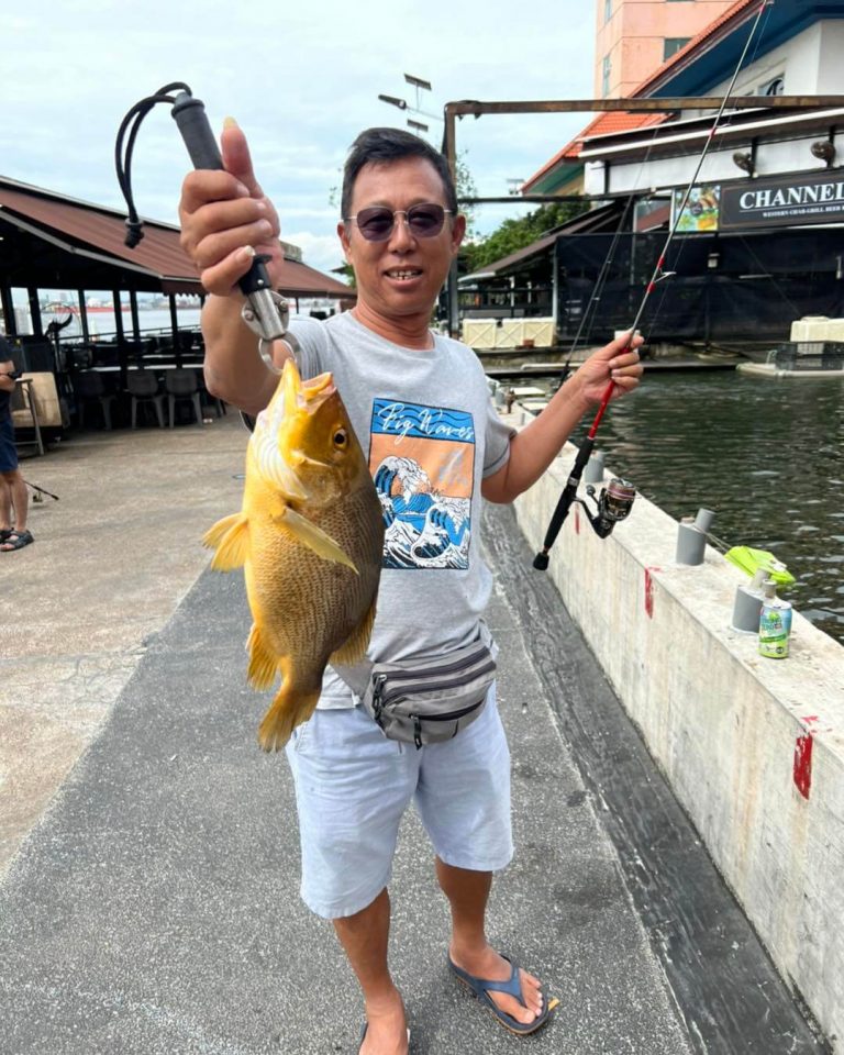 Gills Fishing Singapore